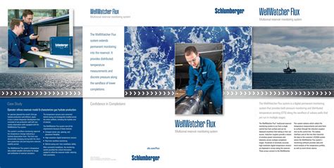 wellwatcher ps3|WellWatcher Flux Multizonal Reservoir Monitoring System .